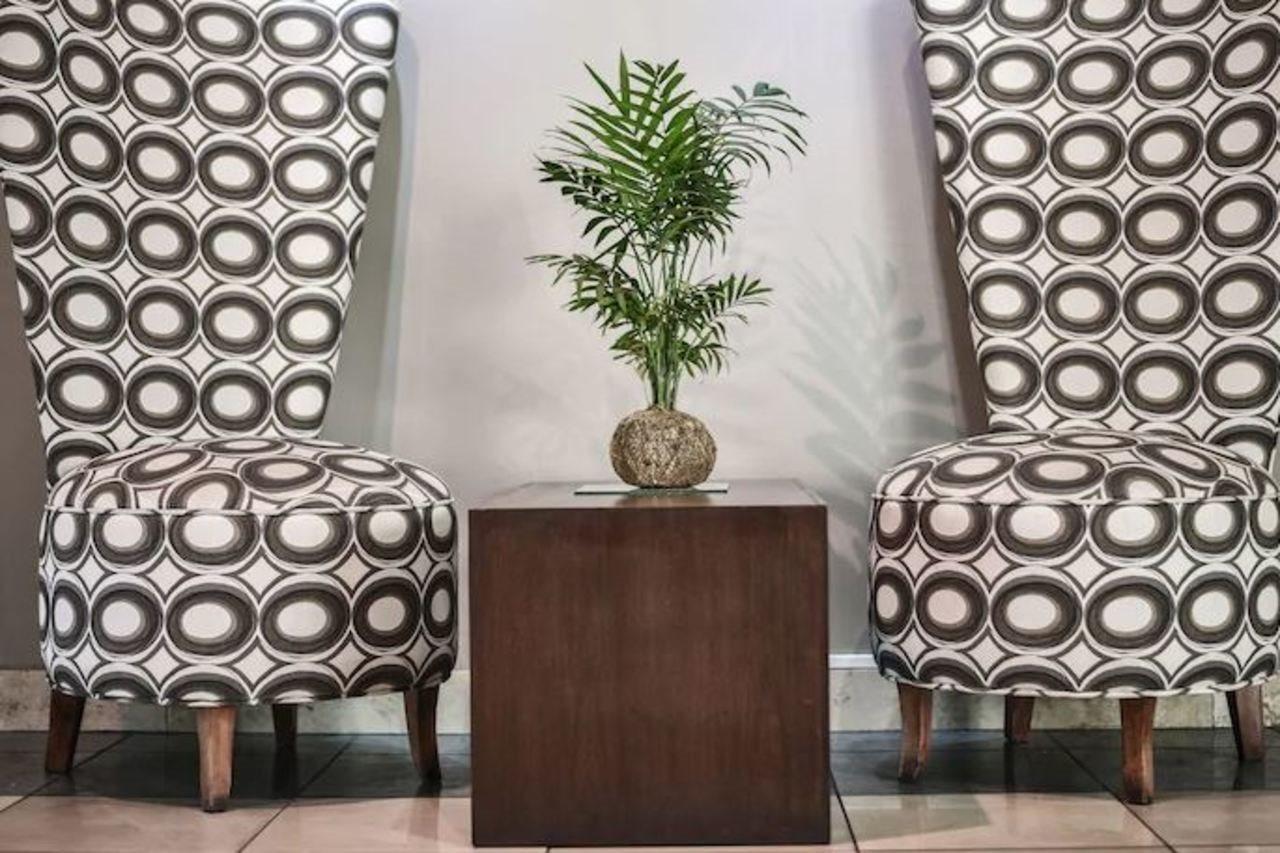 Portal Plaza 4* Mendoza